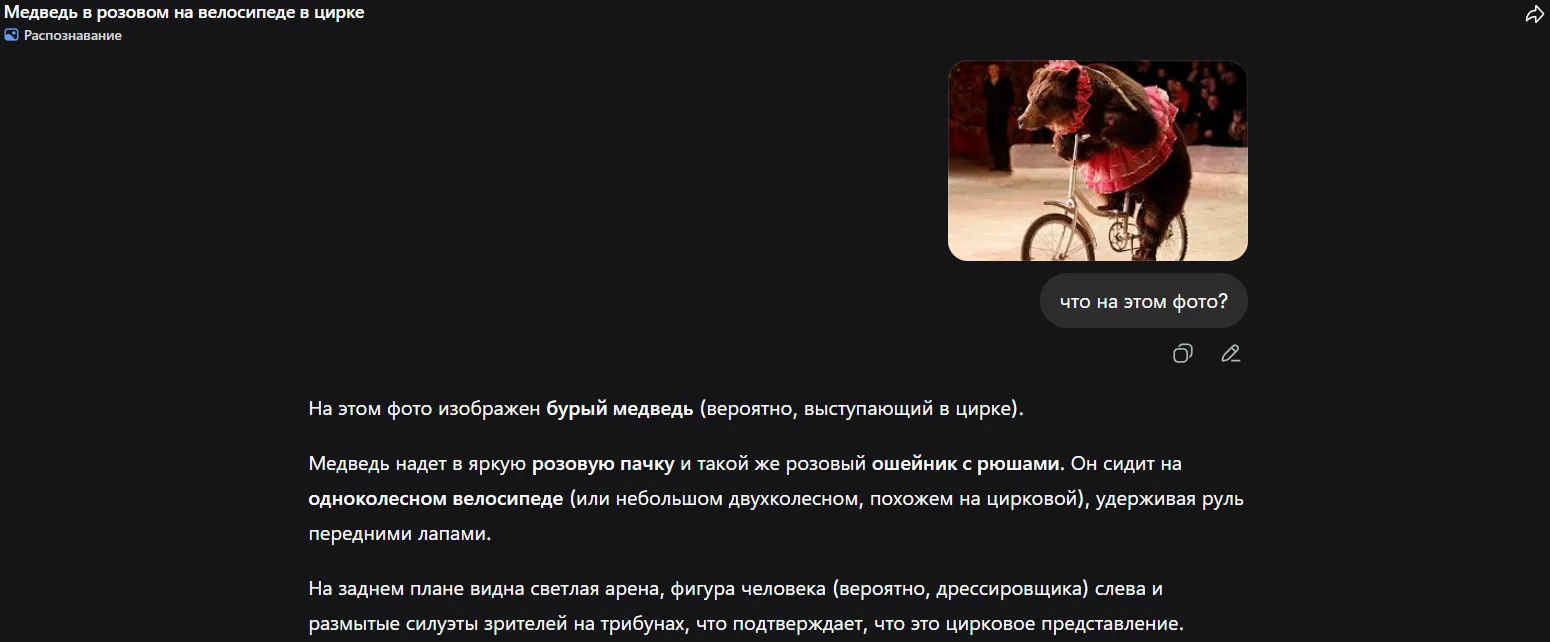 Как включить распознавание фото в дипсик DeepSeek